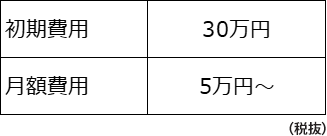 初期費用30万円（税抜） 月額費用5万円～（税抜）